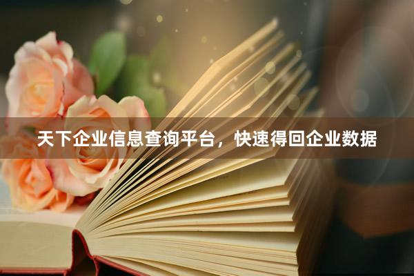 天下企业信息查询平台，快速得回企业数据