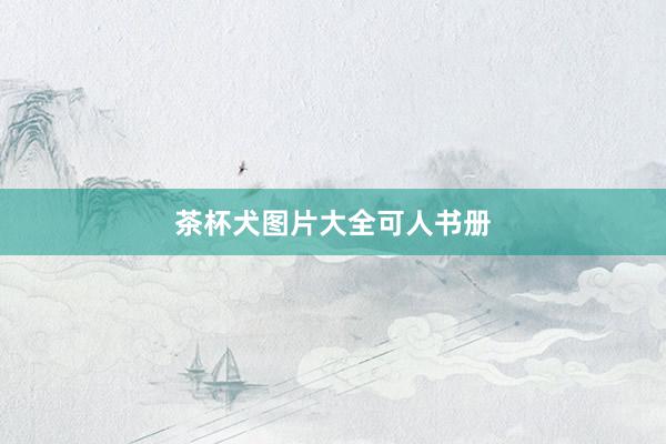 茶杯犬图片大全可人书册