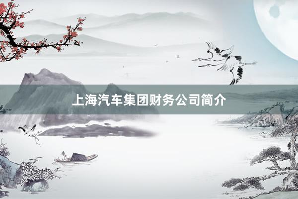 上海汽车集团财务公司简介